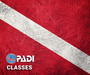 PADI® Classes