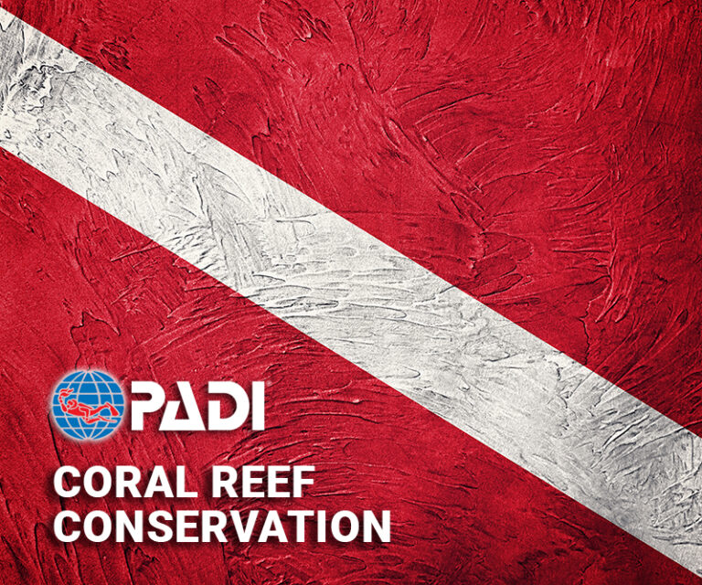 PADI® Coral Reef Conservation Course - Missoula Scuba & Snorkel