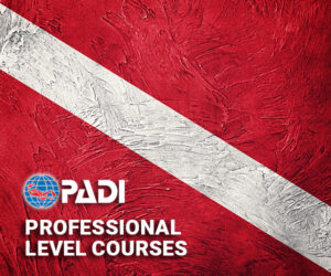PADI® Professional Level Courses